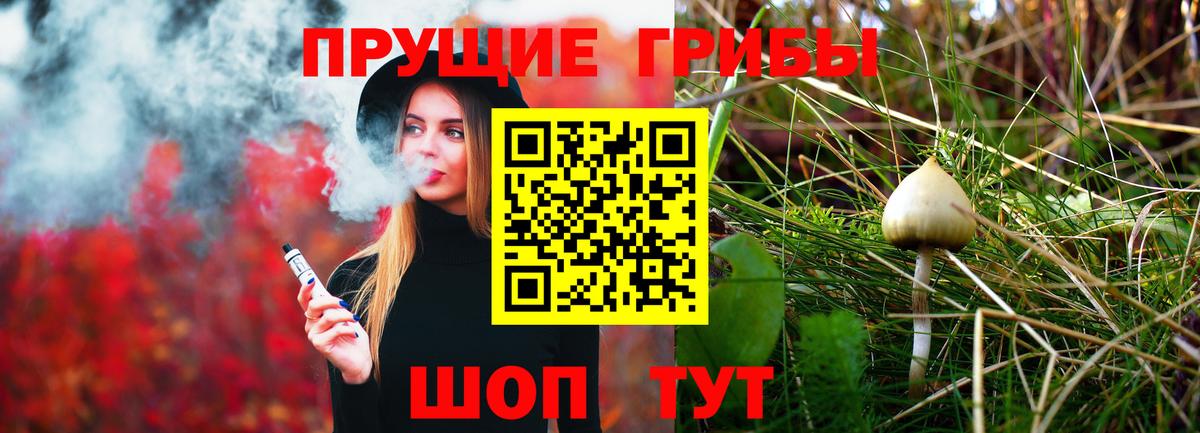 Галлюциногенные грибы MAGIC MUSHROOMS  Вход с VPN  Кемерово 