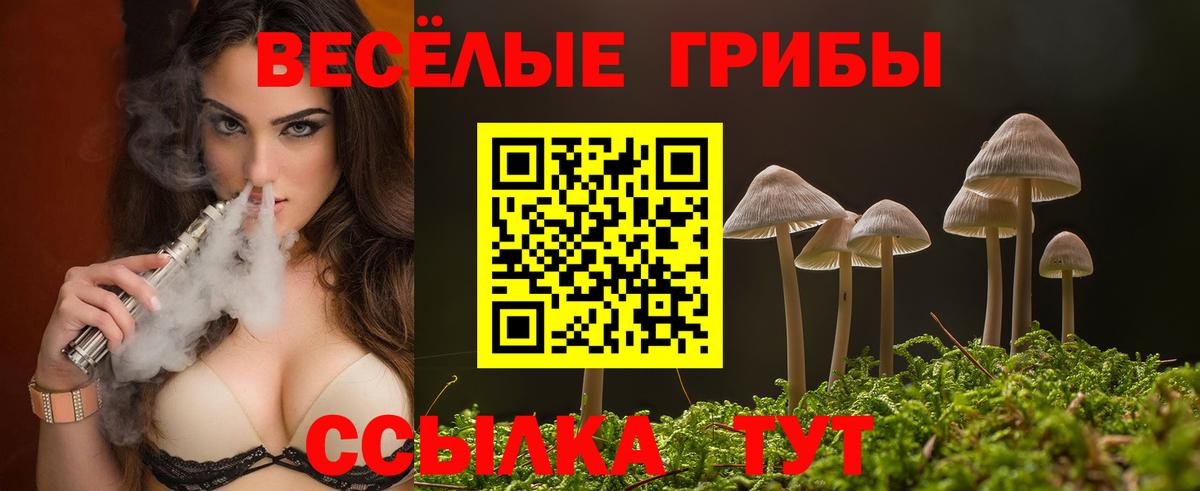 Галлюциногенные грибы Cubensis Кемерово